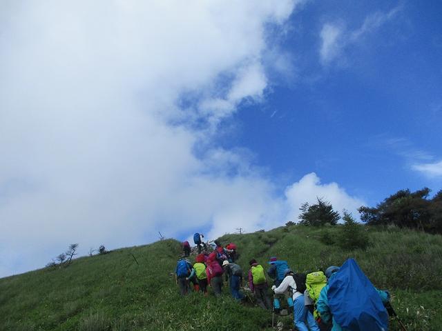 画像6: 7月12日に岡田ガイドのハイキングコースで 霧ヶ峰の男女倉山 へ行ってきました♪