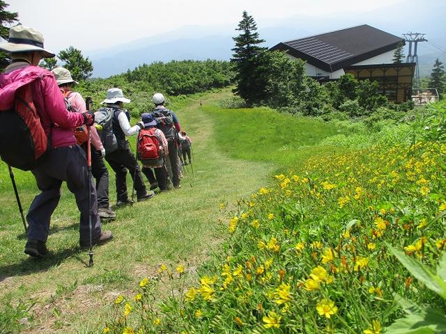 画像14: 7月9日~11日で八幡平・八甲田山・森吉山ツアーに行ってきました!
