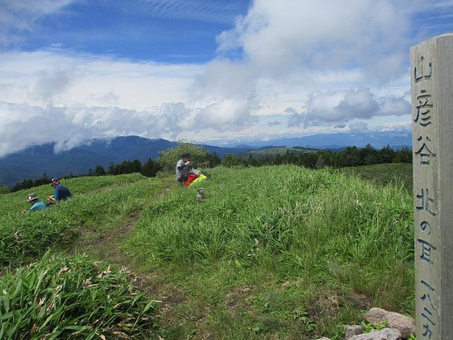 画像9: 7月12日に岡田ガイドのハイキングコースで 霧ヶ峰の男女倉山 へ行ってきました♪