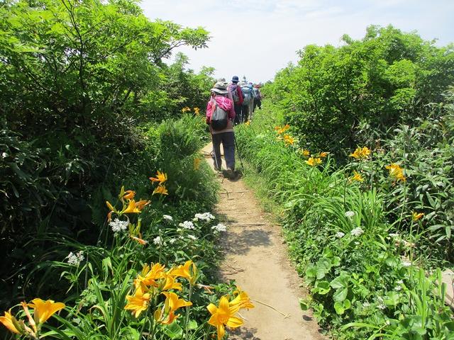 画像10: 7月9日~11日で八幡平・八甲田山・森吉山ツアーに行ってきました!