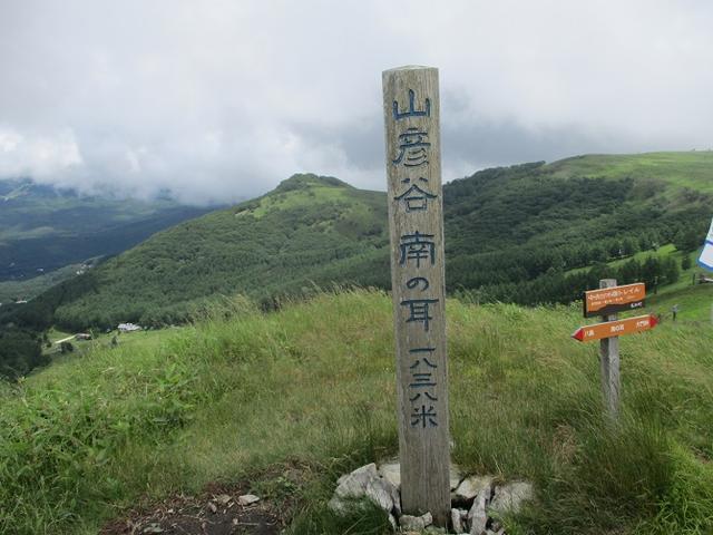 画像7: 7月12日に岡田ガイドのハイキングコースで 霧ヶ峰の男女倉山 へ行ってきました♪