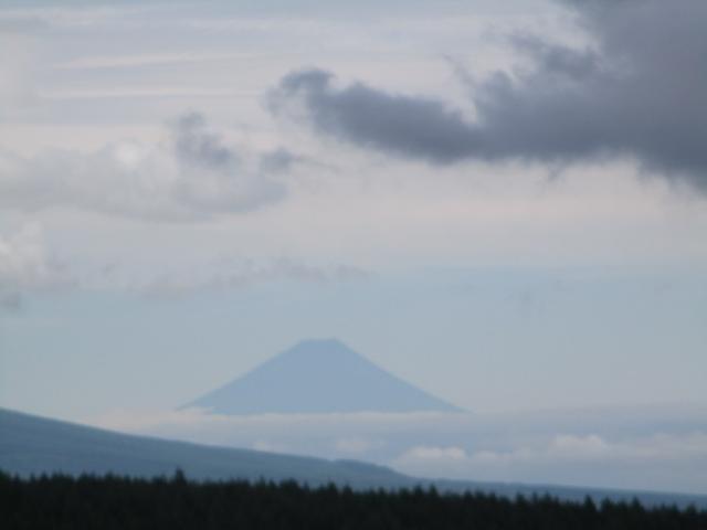 画像16: 7月12日に岡田ガイドのハイキングコースで 霧ヶ峰の男女倉山 へ行ってきました♪
