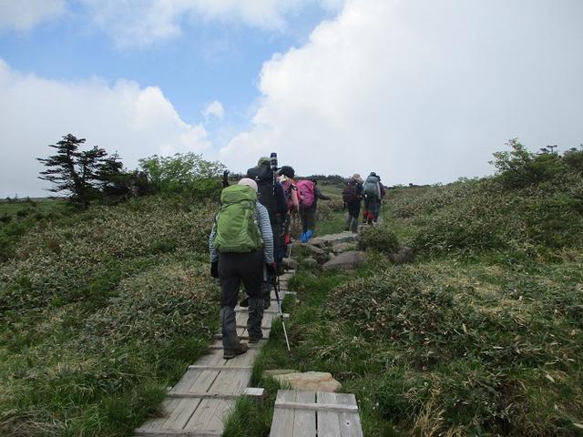 画像6: 7月16日より2泊で山旅会 「三国山と苗場山」 ツアーに行ってきました!