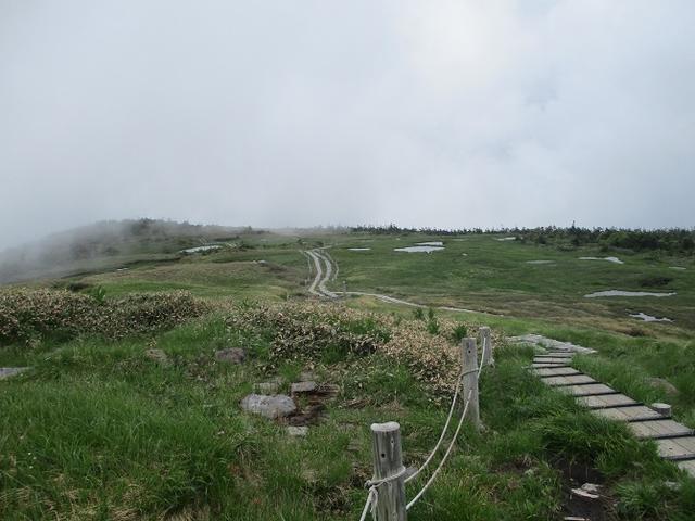 画像7: 7月16日より2泊で山旅会 「三国山と苗場山」 ツアーに行ってきました!