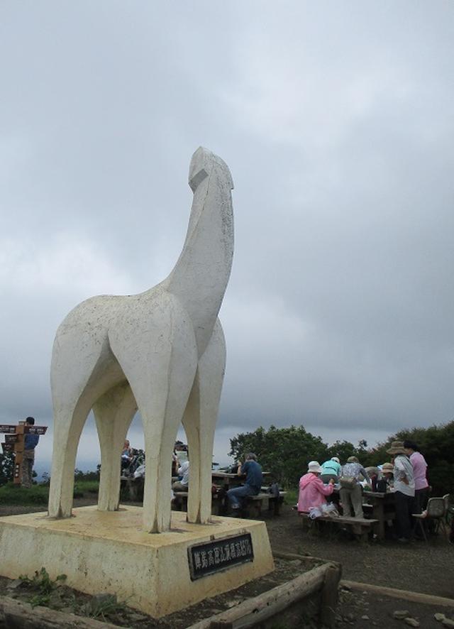 画像11: 7月13日に岡田ガイドの現地集合コースで、 陣馬山 へ行ってきました♪