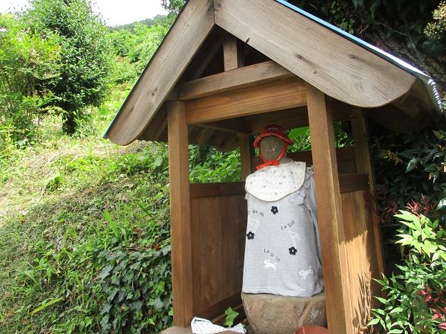 画像1: 7月13日に岡田ガイドの現地集合コースで、 陣馬山 へ行ってきました♪