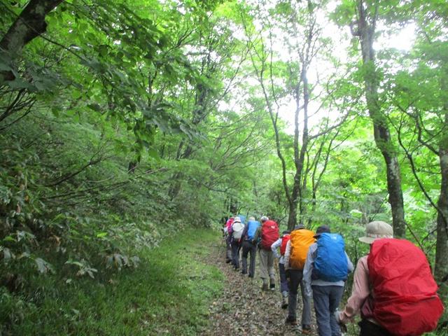 画像1: 7月16日より2泊3日で山旅会 「三国山と苗場山」 ツアーに行ってきました!