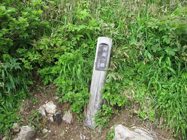 画像5: 7月16日より2泊で山旅会 「三国山と苗場山」 ツアーに行ってきました!