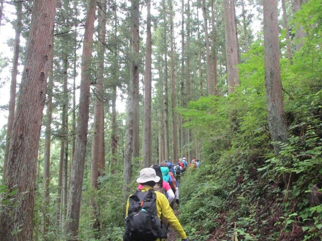 画像2: 7月13日に岡田ガイドの現地集合コースで、 陣馬山 へ行ってきました♪
