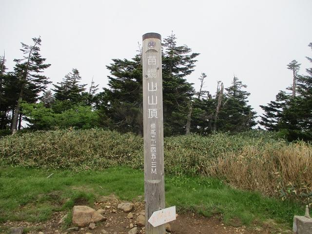 画像8: 7月16日より2泊で山旅会 「三国山と苗場山」 ツアーに行ってきました!