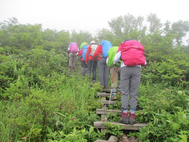 画像3: 7月16日より2泊3日で山旅会 「三国山と苗場山」 ツアーに行ってきました!