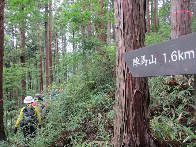 画像3: 7月13日に岡田ガイドの現地集合コースで、 陣馬山 へ行ってきました♪