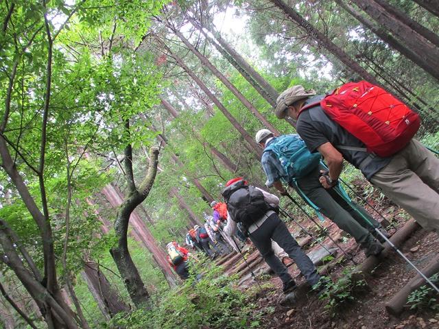 画像7: 7月13日に岡田ガイドの現地集合コースで、 陣馬山 へ行ってきました♪