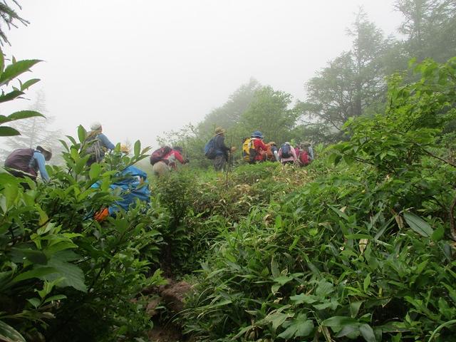 画像6: 7月19日に山旅会 「湯ノ丸山」 ツアーに行ってきました!