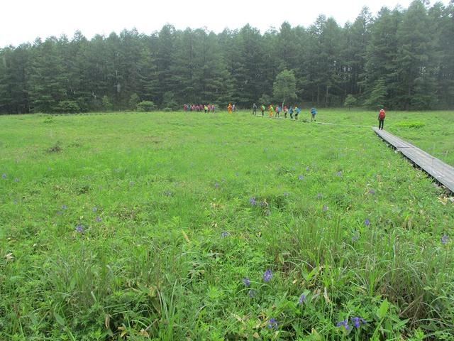 画像16: 7月19日に山旅会 「湯ノ丸山」 ツアーに行ってきました!