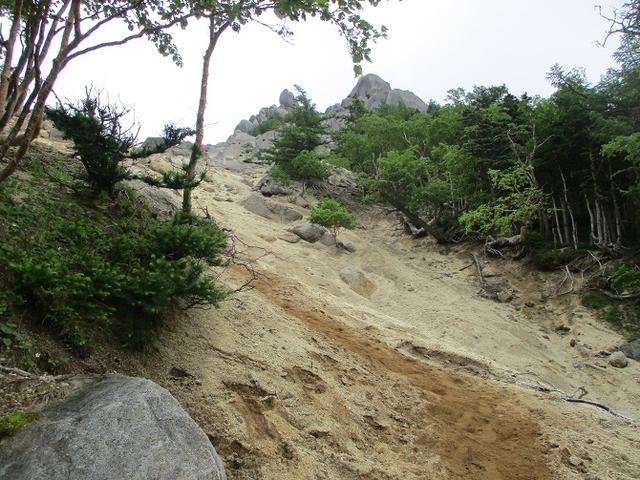 画像3: 来年夏のツアーの素材を探して南アルプスの 鳳凰三山 を歩いてきました♪