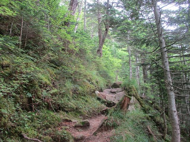 画像6: 来年夏のツアーの素材を探して南アルプスの 鳳凰三山 を歩いてきました!