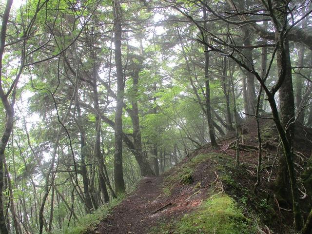 画像13: 来年夏のツアーの素材を探して南アルプスの 鳳凰三山 を歩いてきました♪