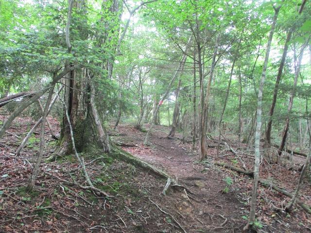 画像1: 来年夏のツアーの素材を探して南アルプスの 鳳凰三山 を歩いてきました!