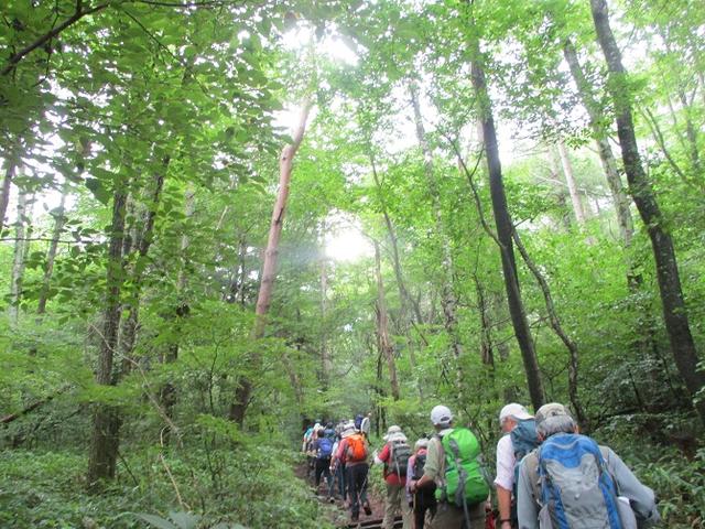 画像1: お花満喫の 飯盛山 にいってきました♪