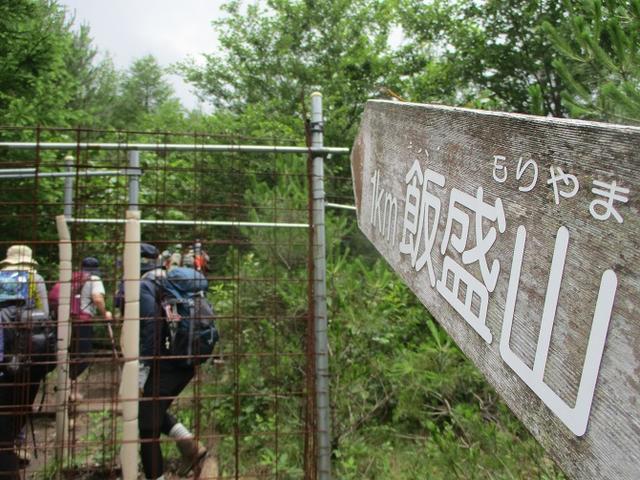 画像4: お花満喫の 飯盛山 にいってきました♪