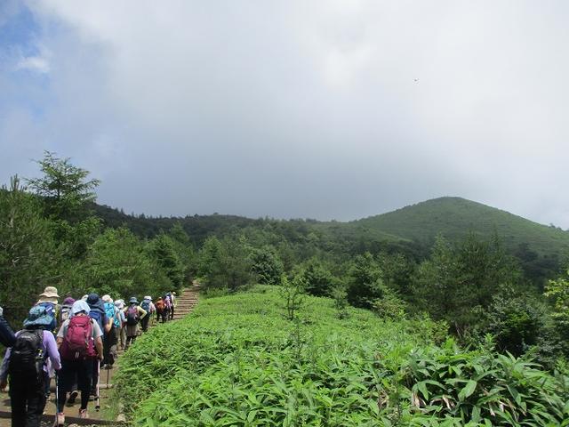 画像6: お花満喫の 飯盛山 にいってきました♪