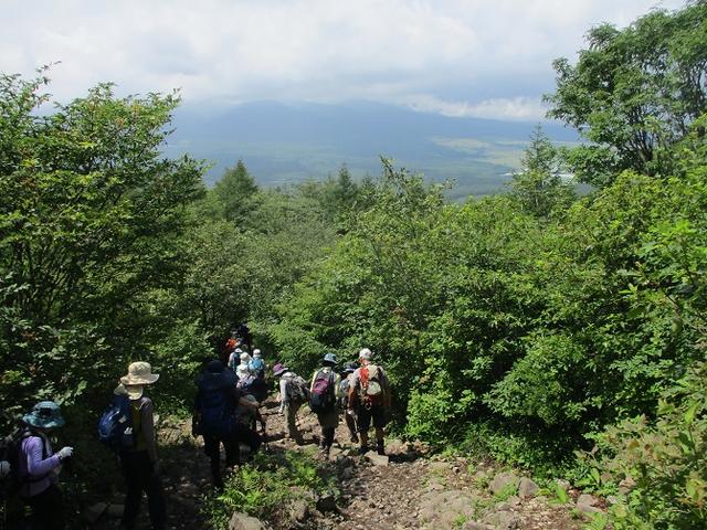画像15: お花満喫の 飯盛山 にいってきました♪