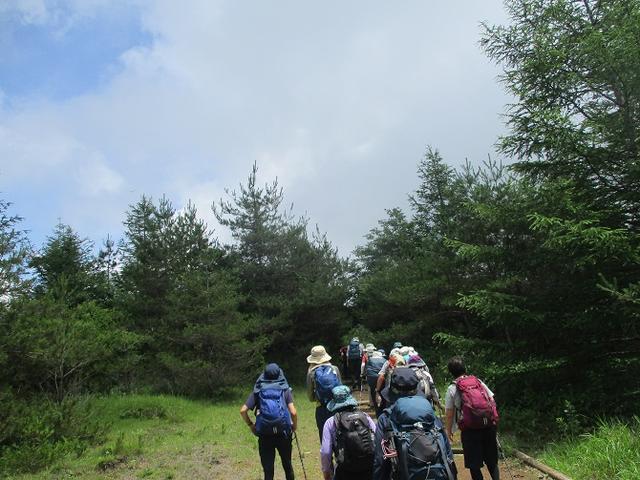 画像5: お花満喫の 飯盛山 にいってきました♪