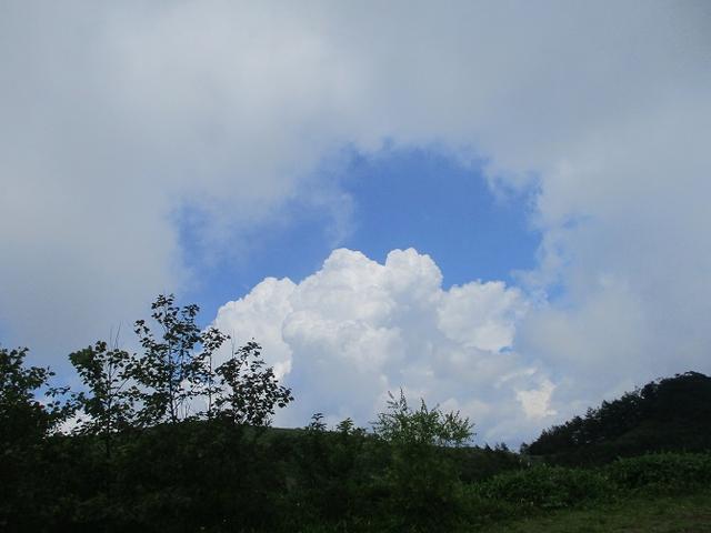 画像11: お花満喫の 飯盛山 にいってきました♪