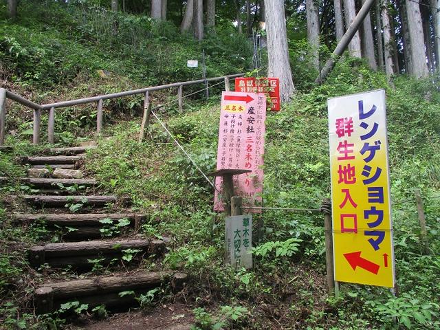 画像2: 8月の山旅会 「日の出山」 ツアーの下見に行ってきました!