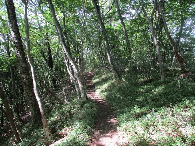 画像4: 8月の山旅会 「大塚山」 ツアーの下見に行ってきました!