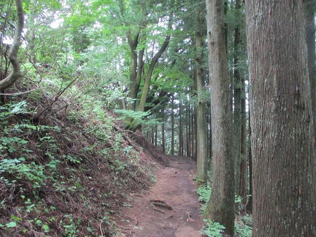 画像4: 8月の山旅会 「日の出山」 ツアーの下見に行ってきました!
