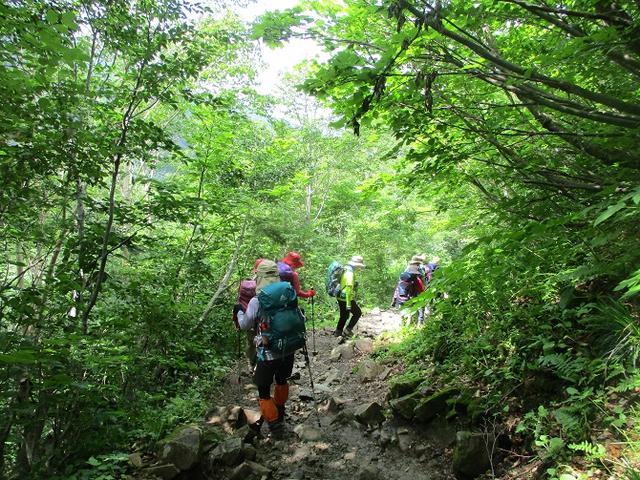 画像13: 7月29日から3日間 「白山」 ツアーに行ってきました!
