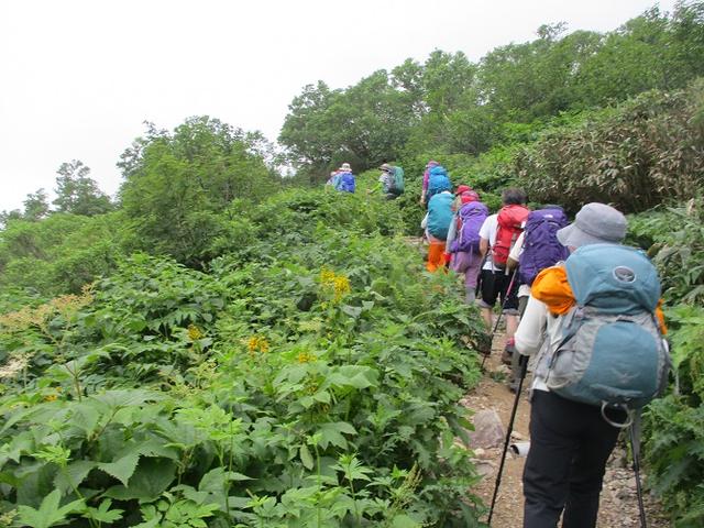 画像8: 7月29日から3日間山旅会 「白山」 ツアーに行ってきました!