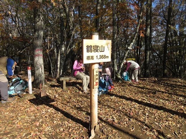 画像13: 少し早いですが10月の 「大菩薩嶺から牛ノ寝通り」 ツアーのご案内です!