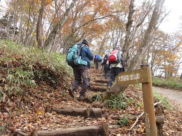 画像1: 少し早いですが10月の 「大菩薩嶺から牛ノ寝通り」 ツアーのご案内です!