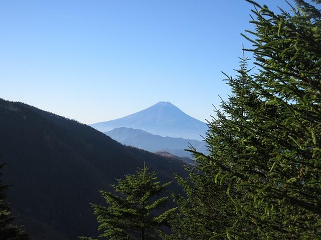 画像6: 少し早いですが10月の 「大菩薩嶺から牛ノ寝通り」 ツアーのご案内です!