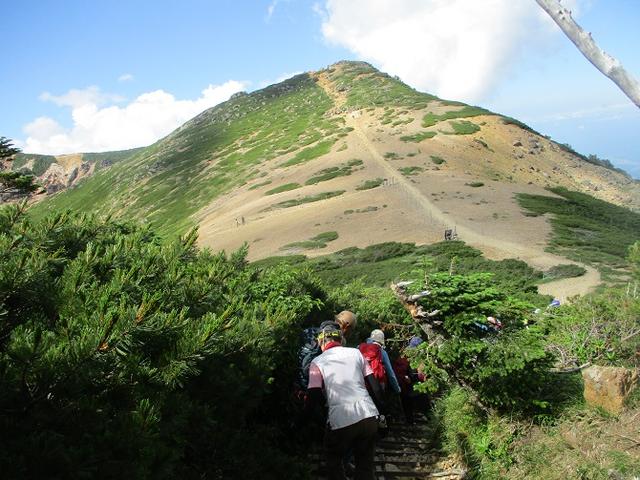 画像7: 【山旅会・登山ガイドこだわりツアー】岡田ガイドからの便り・硫黄岳ツアーに行ってきました!(1日目)