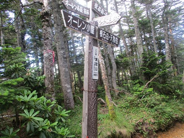 画像6: 【山旅会・登山ガイドこだわりツアー】岡田ガイドからの便り・硫黄岳ツアーに行ってきました!(1日目)