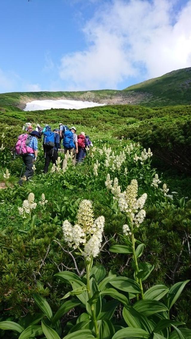 画像2: 本日は山旅会ツアー9月までの催行状況のご案内です!