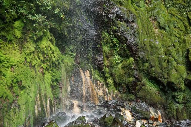 画像: 唐滝(三原山の中腹付近にある唐滝 36.3m)