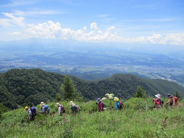 画像11: 8月7日に岡田ガイドのハイキングコースで池の平湿原へいってきました♪