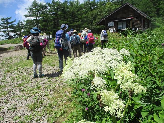 画像1: 8月7日に岡田ガイドのハイキングコースで池の平湿原へいってきました♪