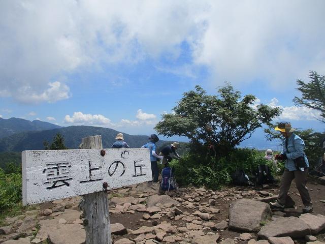 画像7: 8月7日に岡田ガイドのハイキングコースで池の平湿原へいってきました♪