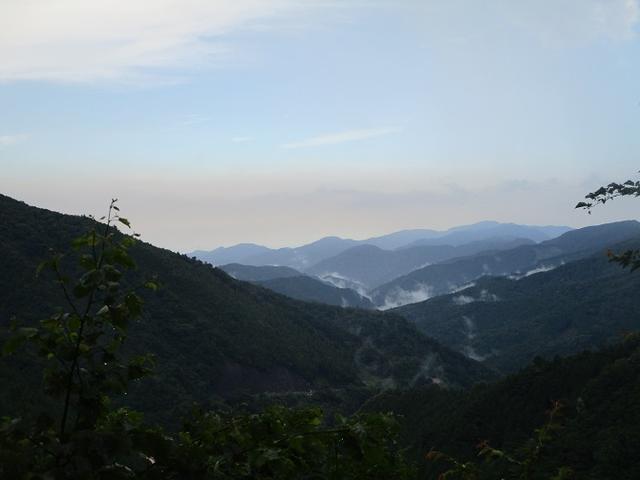 画像14: 8月8日に岡田ガイドのコースで東京都と山梨県にまたがる日本300名山・山梨100名山の 三頭山 へ行ってきました♪