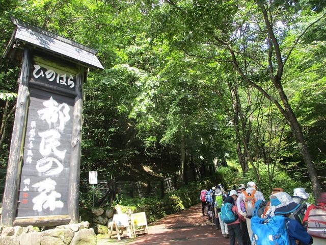 画像1: 8月8日に岡田ガイドのコースで東京都と山梨県にまたがる日本300名山・山梨100名山の 三頭山 へ行ってきました♪