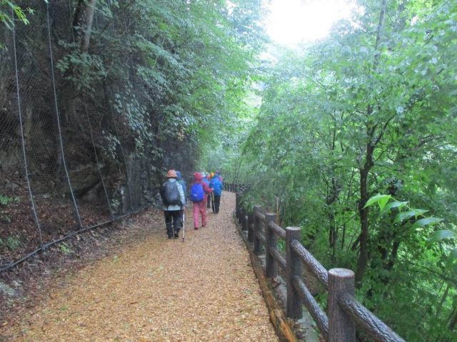 画像15: 8月8日に岡田ガイドのコースで東京都と山梨県にまたがる日本300名山・山梨100名山の 三頭山 へ行ってきました♪