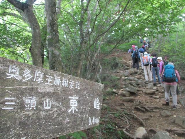 画像10: 8月8日に岡田ガイドのコースで東京都と山梨県にまたがる日本300名山・山梨100名山の 三頭山 へ行ってきました♪