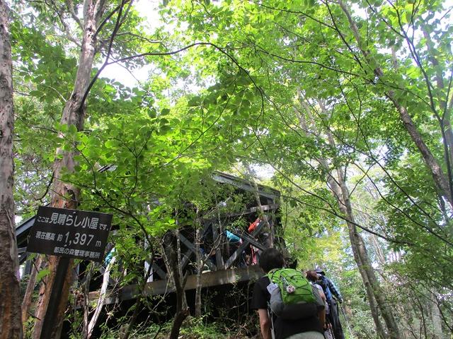 画像6: 8月8日に岡田ガイドのコースで東京都と山梨県にまたがる日本300名山・山梨100名山の 三頭山 へ行ってきました♪