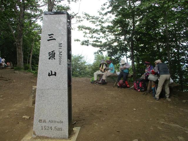画像11: 8月8日に岡田ガイドのコースで東京都と山梨県にまたがる日本300名山・山梨100名山の 三頭山 へ行ってきました♪